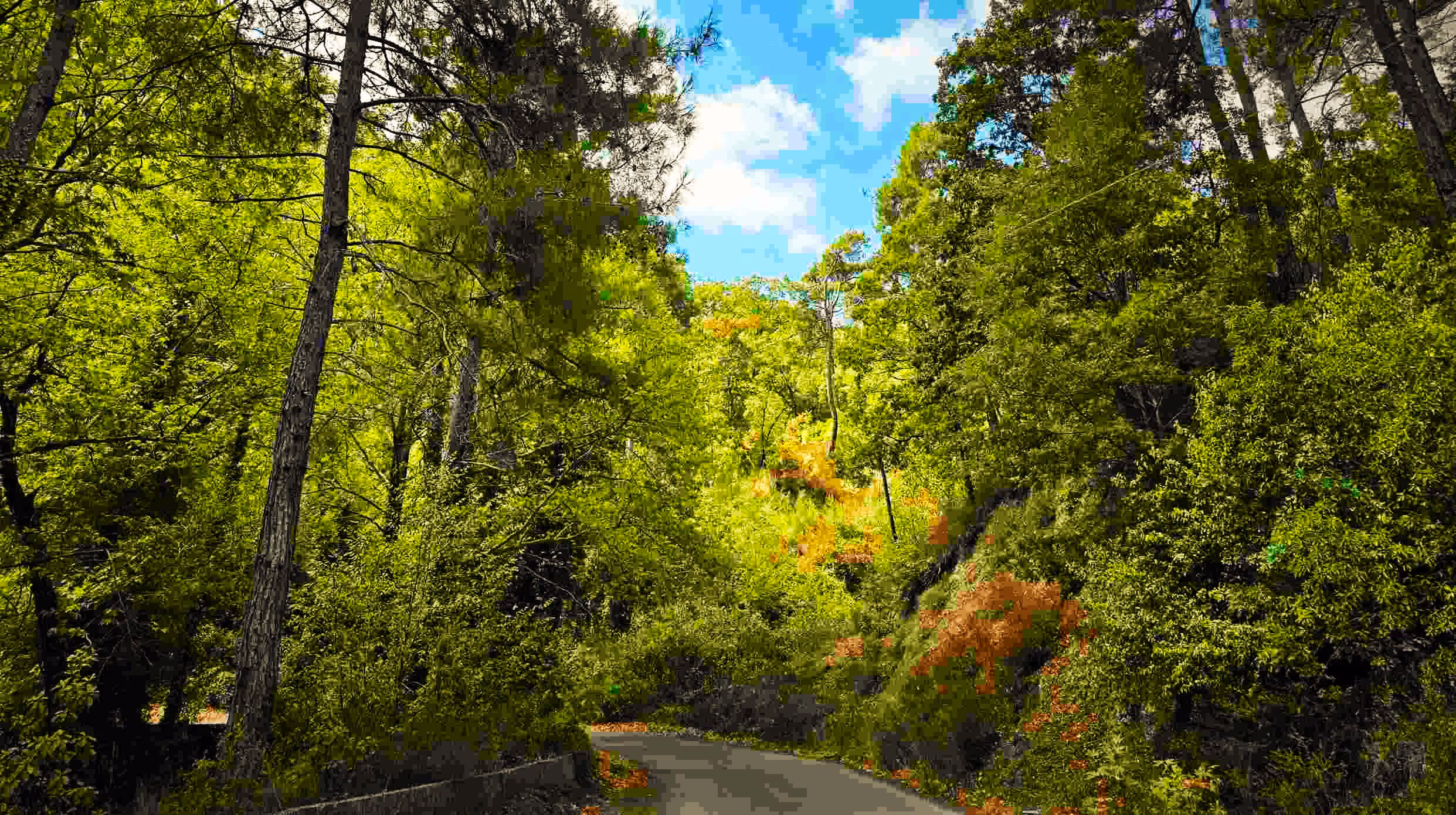 Frunloq Forest Reserve