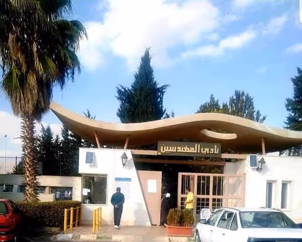 استثمار وتشغيل المسابح بنادي المهندسين في ديماس