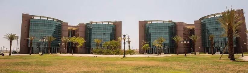 Tabuk University PMO