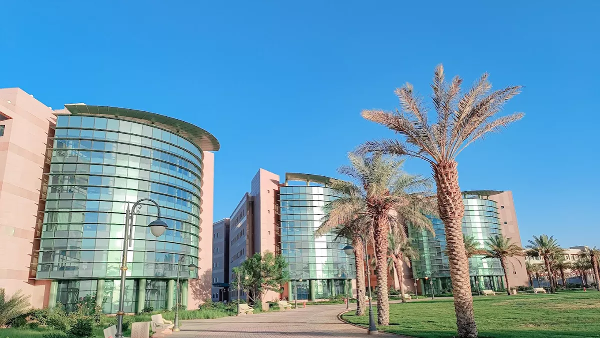 Tabuk University PMO