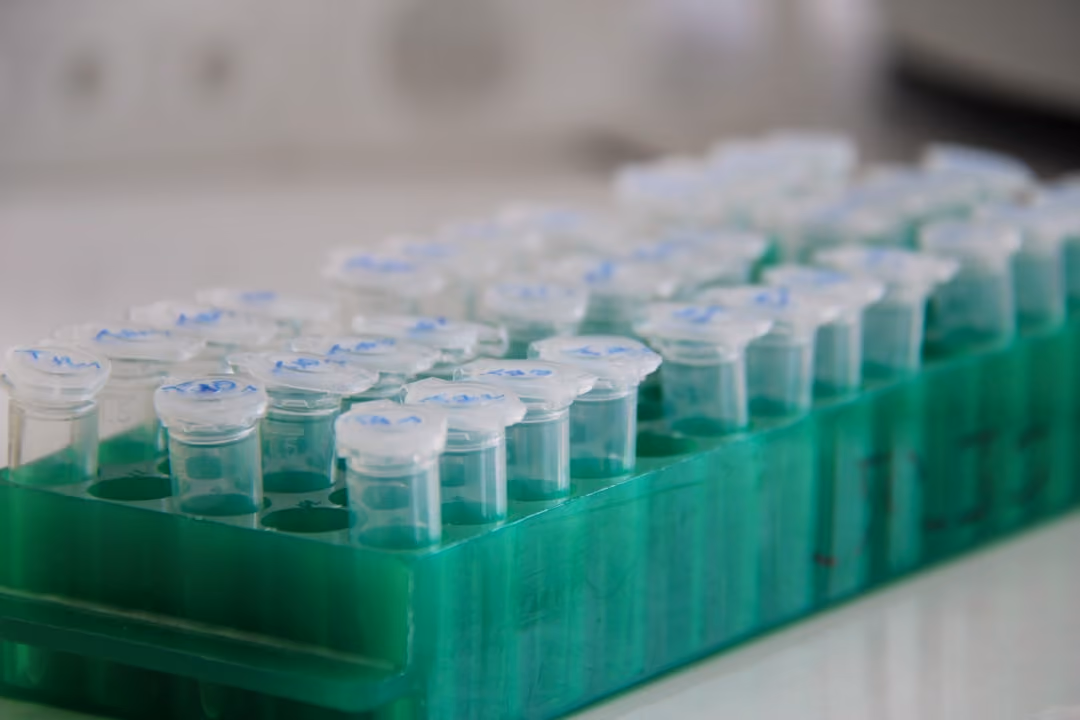 WHO Syria Issues RFP for Microbiology Laboratory Rehabilitation Project