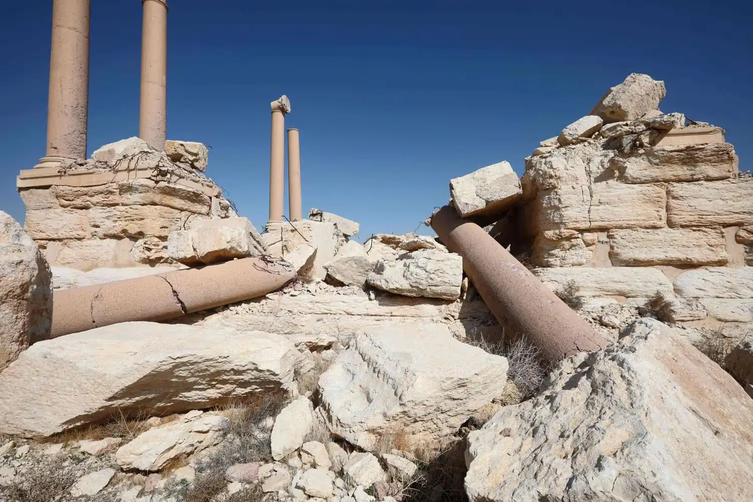 Palmyra