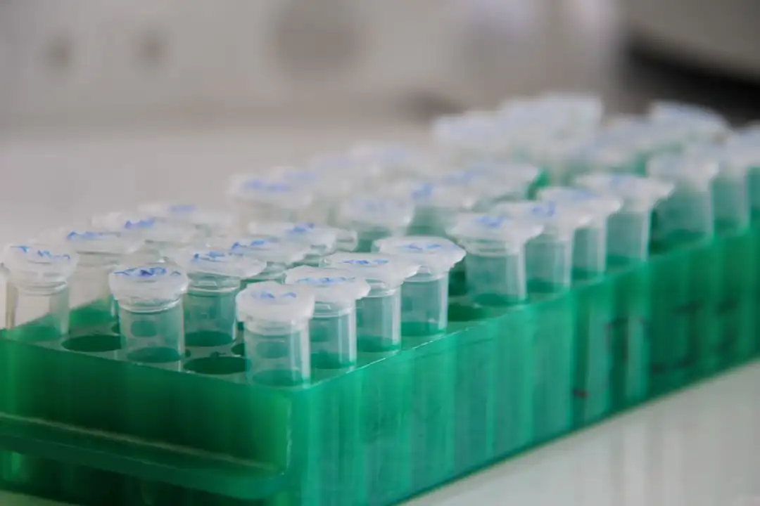 WHO Syria Issues RFP for Microbiology Laboratory Rehabilitation Project