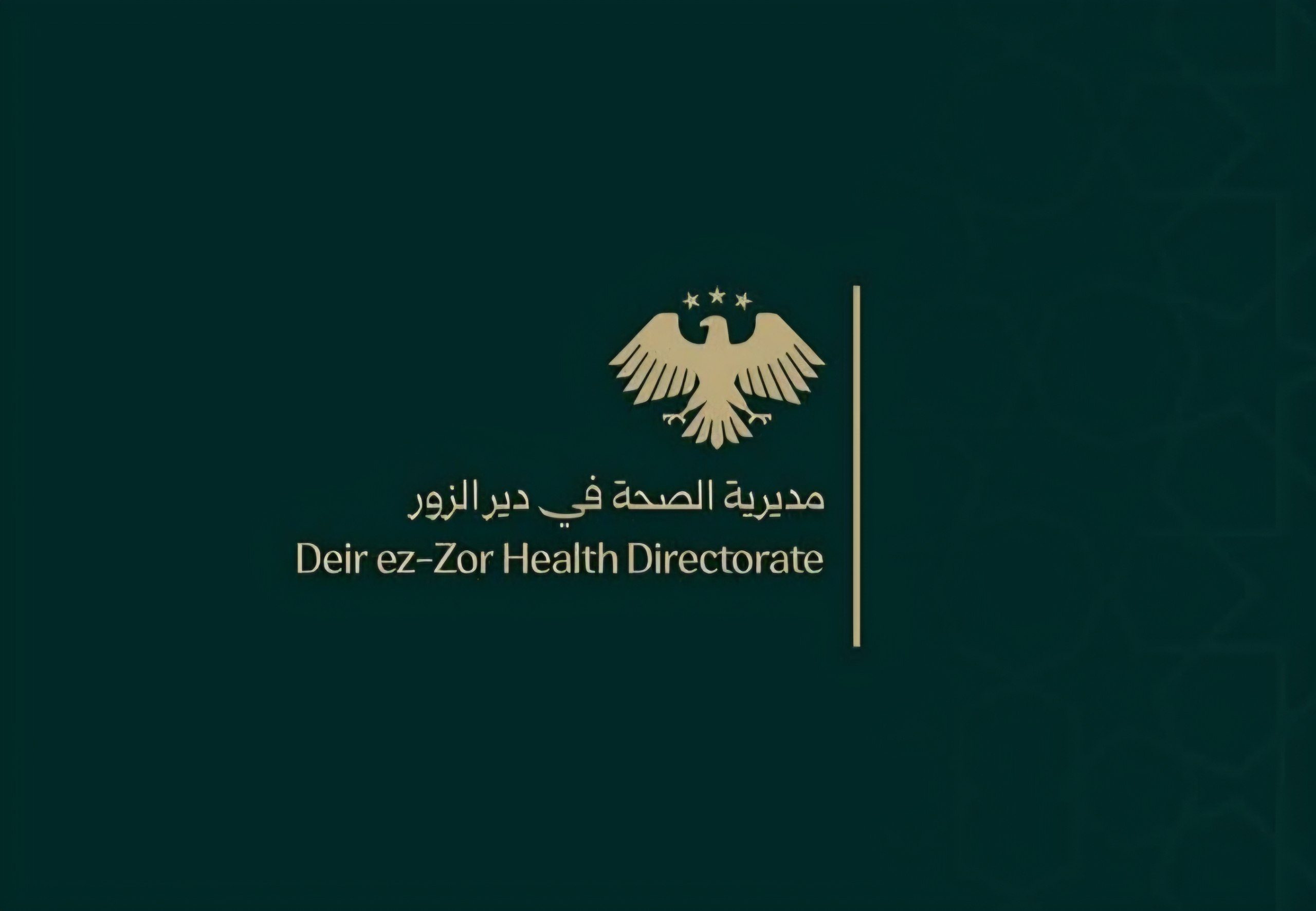 Deir ez-Zor Hospitals Rise From 6 to 13, Beds to 520