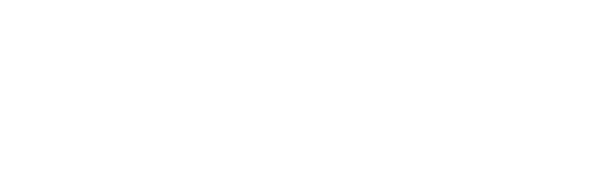 Nammex company logo in white.