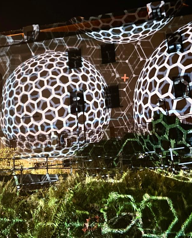 5-MeO-TAR
