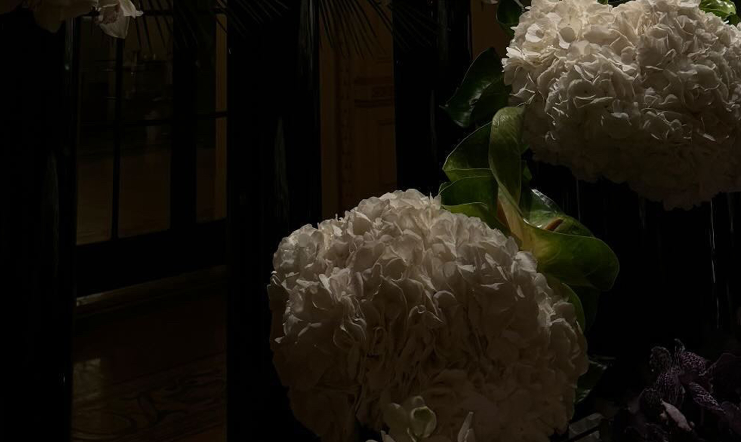 White flowers in foreground and dark background