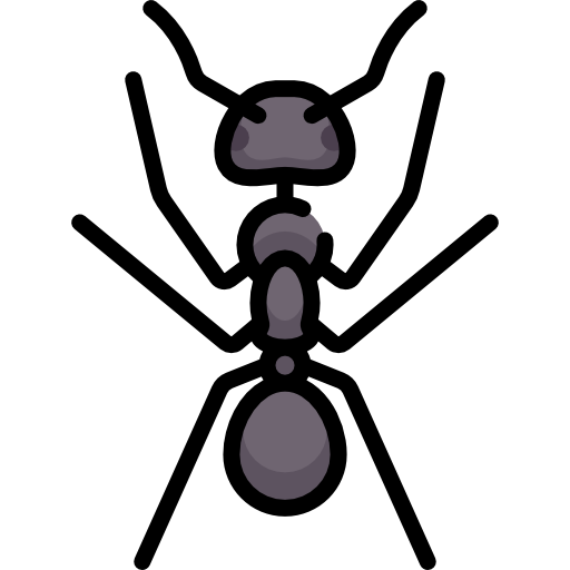 Hormiga