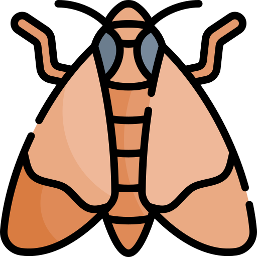 Palomillas