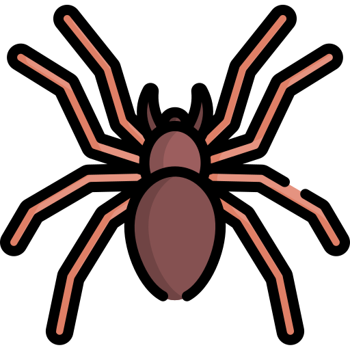 Araña