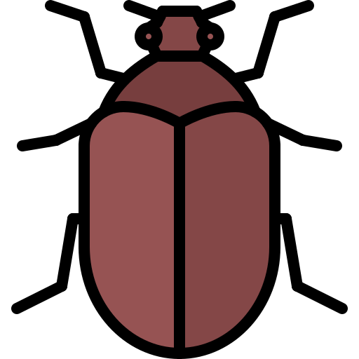 Escarabajo