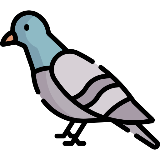 Palomas