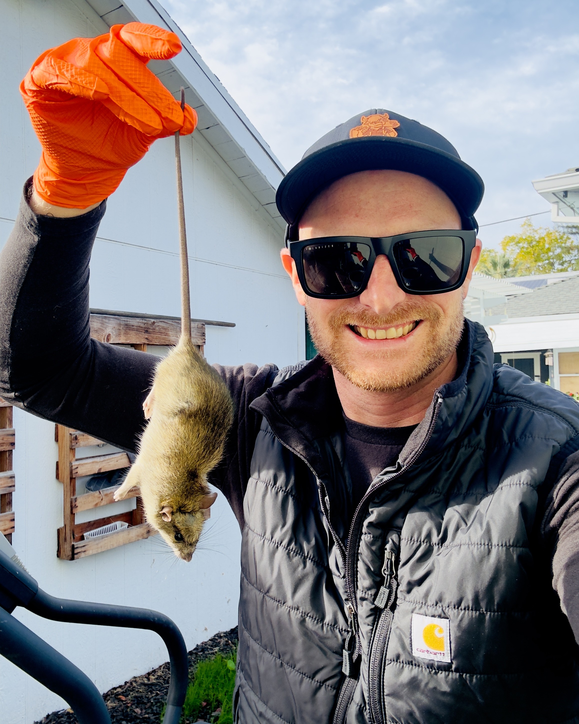 Gingerly Pest Control technician holding a rat caught during a service call in Placer County
