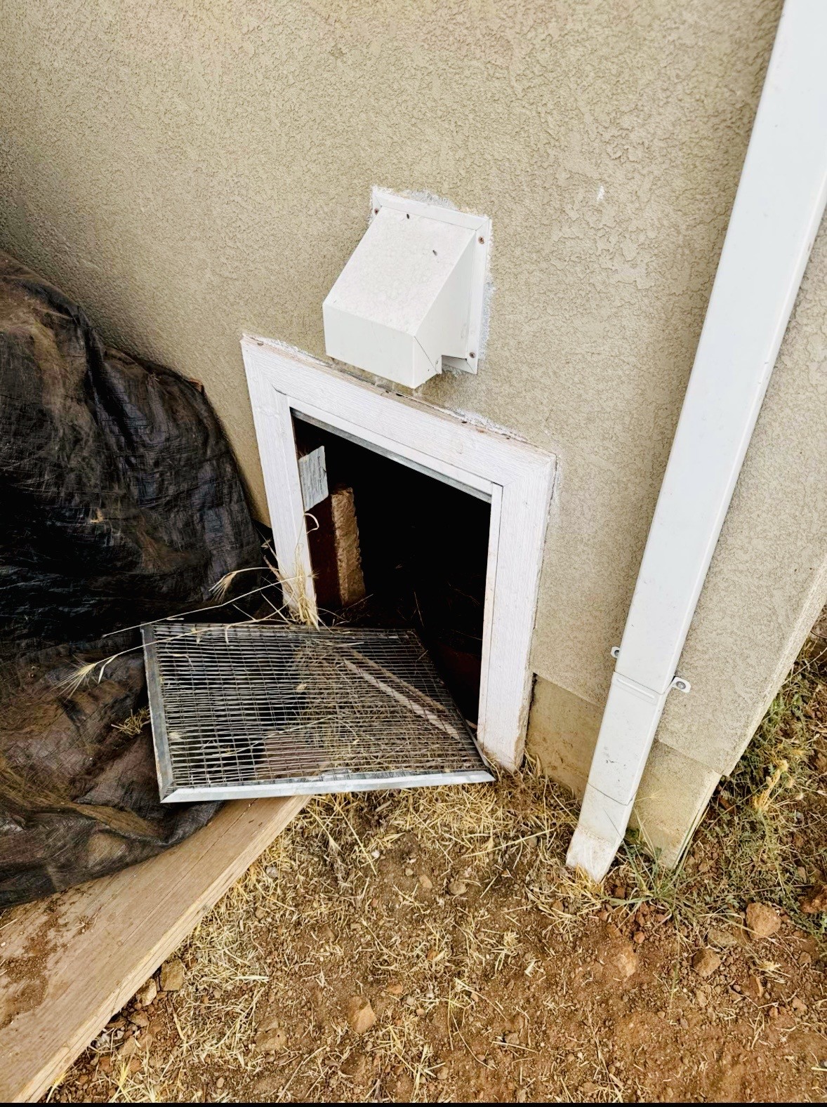 Damaged crawlspace access screen that could allow rats or mice to enter a home's foundation area