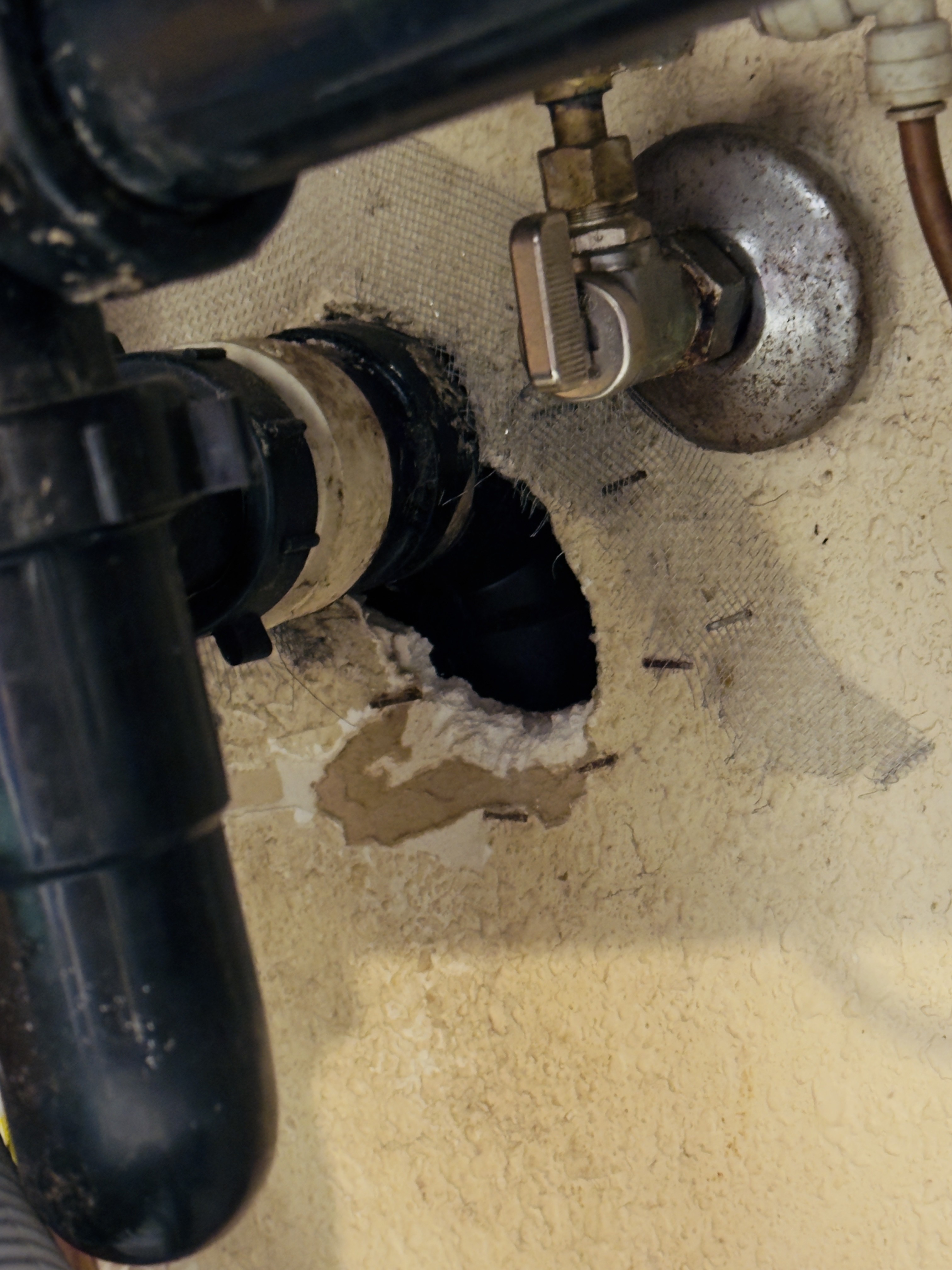 Chewed opening around plumbing beneath a kitchen sink