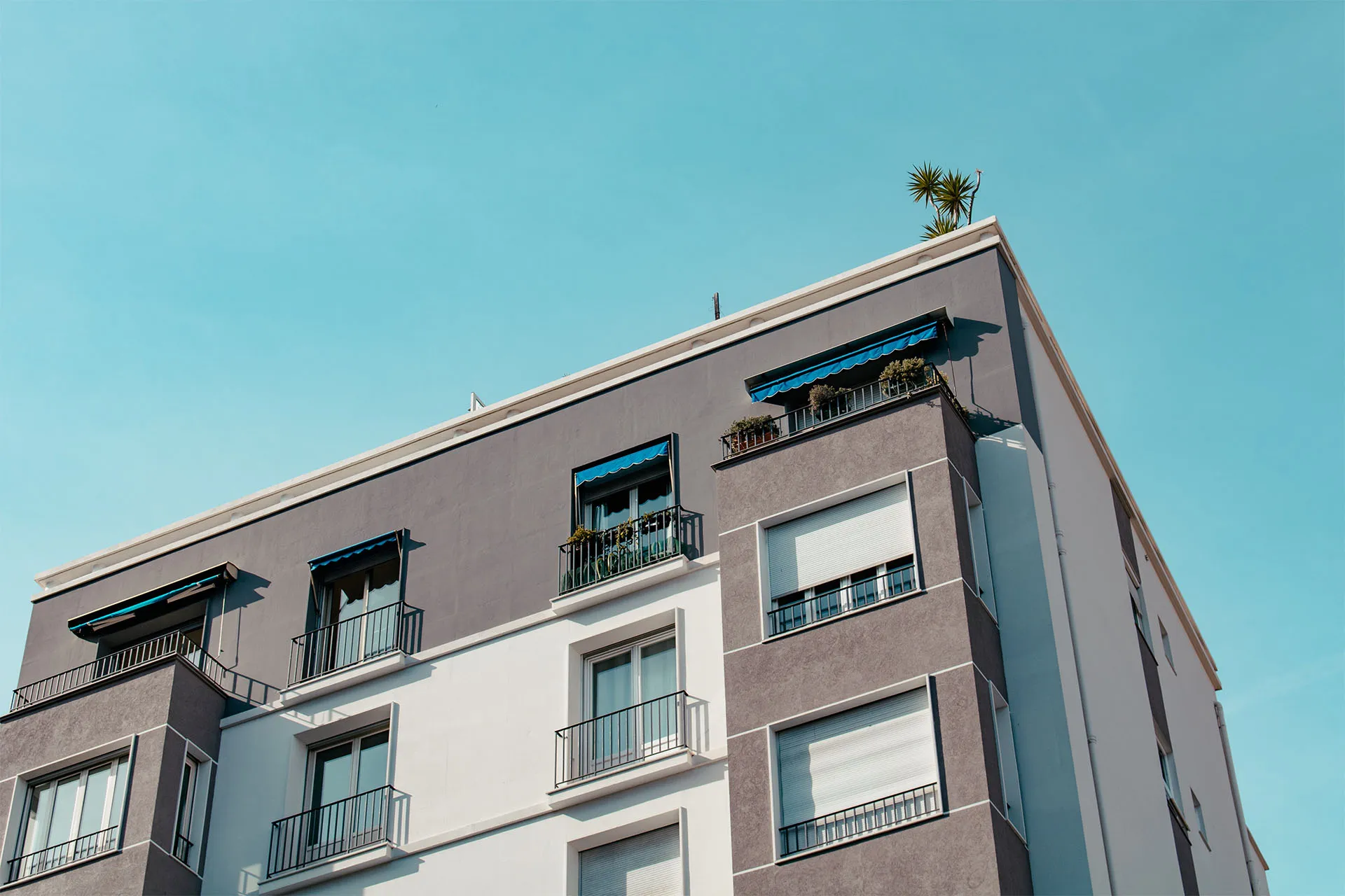 Researching and Adding Property Listings for an Apartment Rental Listing Aggregator