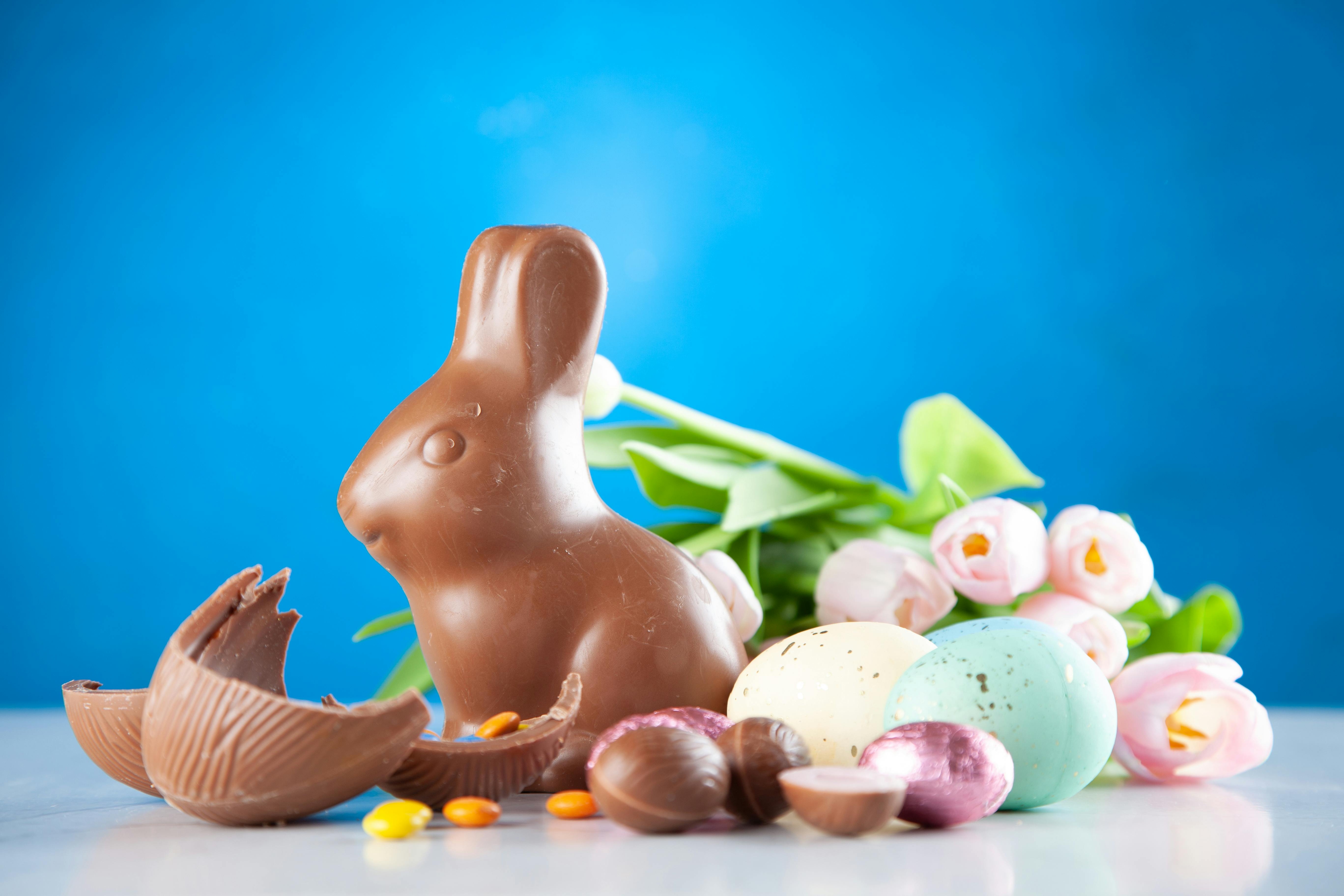 A chocolate Easter bunny surrounded by various chocolate eggs and pink tulips, perfect for illustrating Easter retail highlights and mall events.