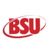 BSU Incorporated