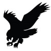 Riverhawk Company