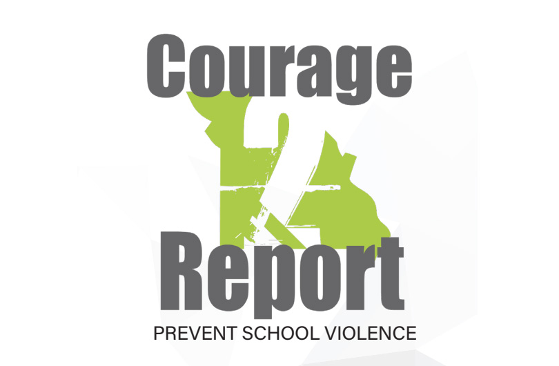 Courage 2 Report