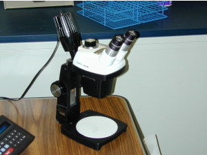 A laboratory microscope used to examine plant material for morphological characteristics.