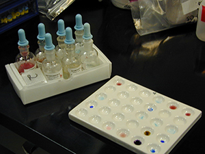 Screening test reagent bottles beside a spot plate used for color testing.