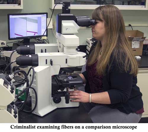 A criminalist comparing fibers using a comparison microscope.