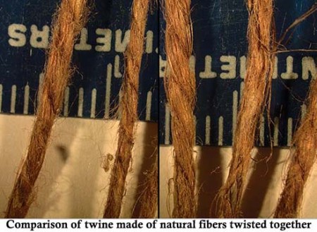 Comparison of twine samples under magnification.