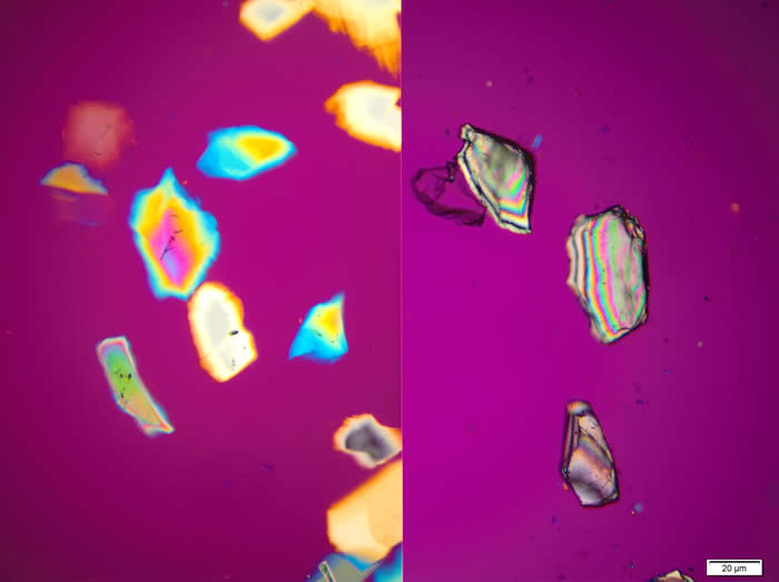 A polarized light microscope image comparing two different minerals found in soil.