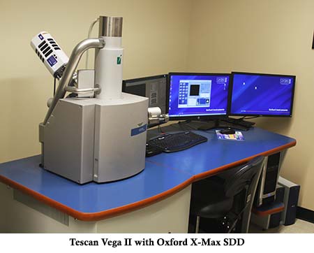 A Tescan Vega II scanning electron microscope with Oxford X-Max detector.
