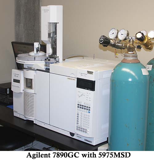 An Agilent 7890 gas chromatograph with 5975 mass selective detector.