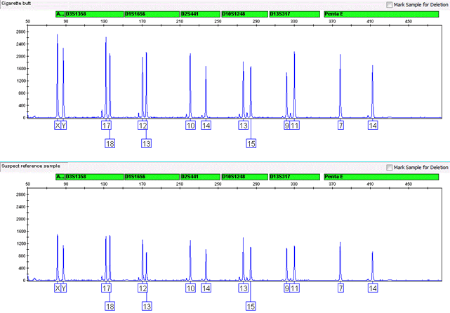 Two DNA profiles compared, matching at every genetic location tested.