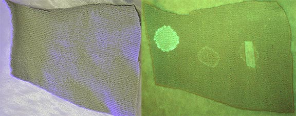 Sweatshirt fabric photographed under normal light and under an alternate light source.