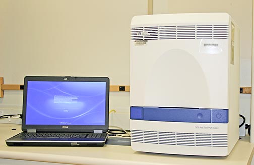 A 7500 Real-Time PCR system used for quantification.
