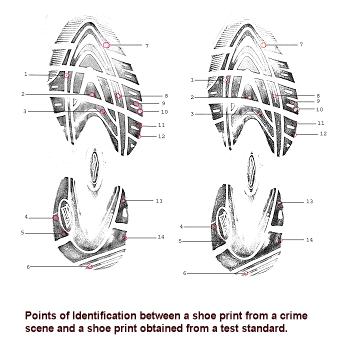 A footwear impression recovered as evidence.