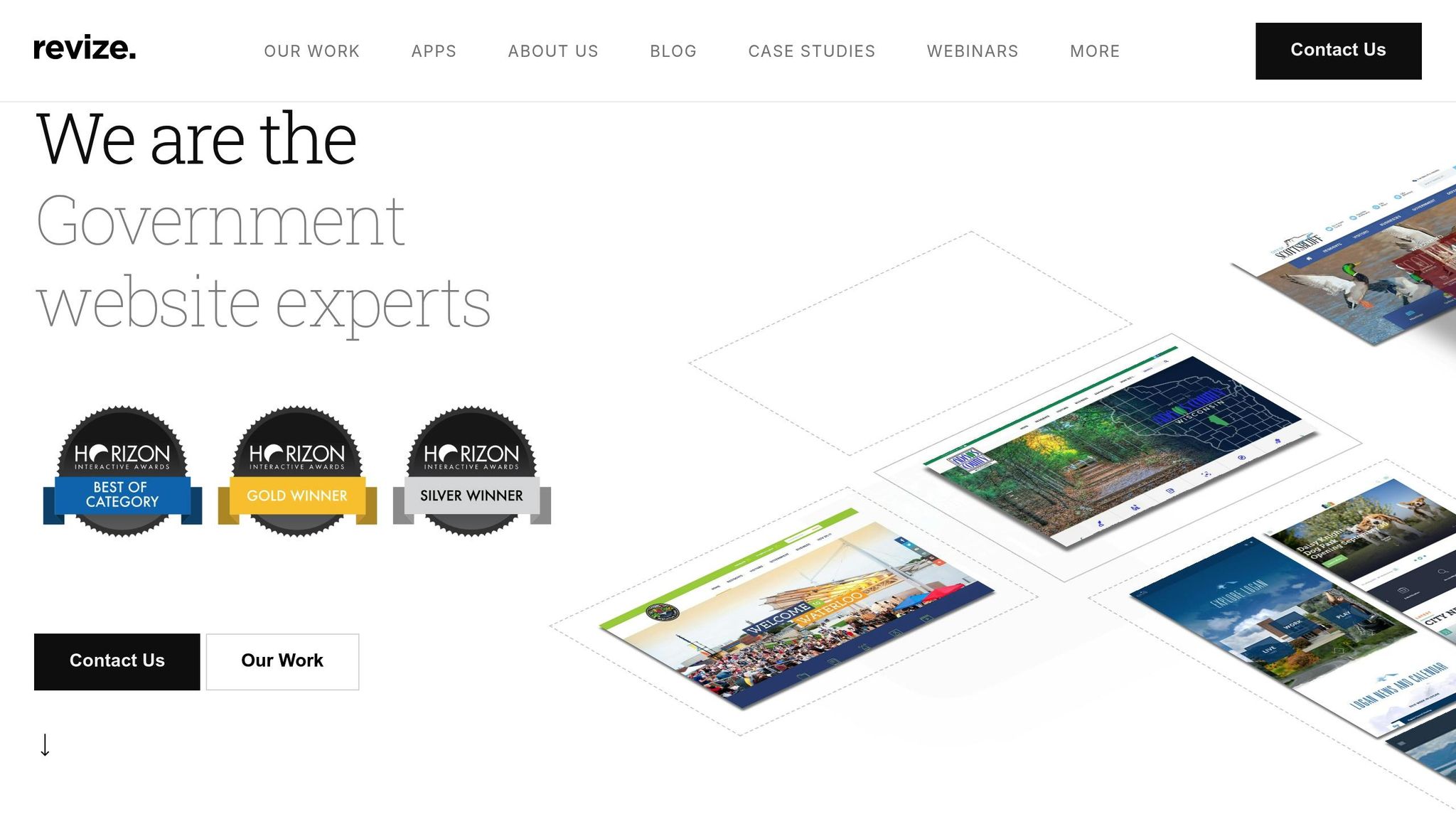 Revize Government Websites