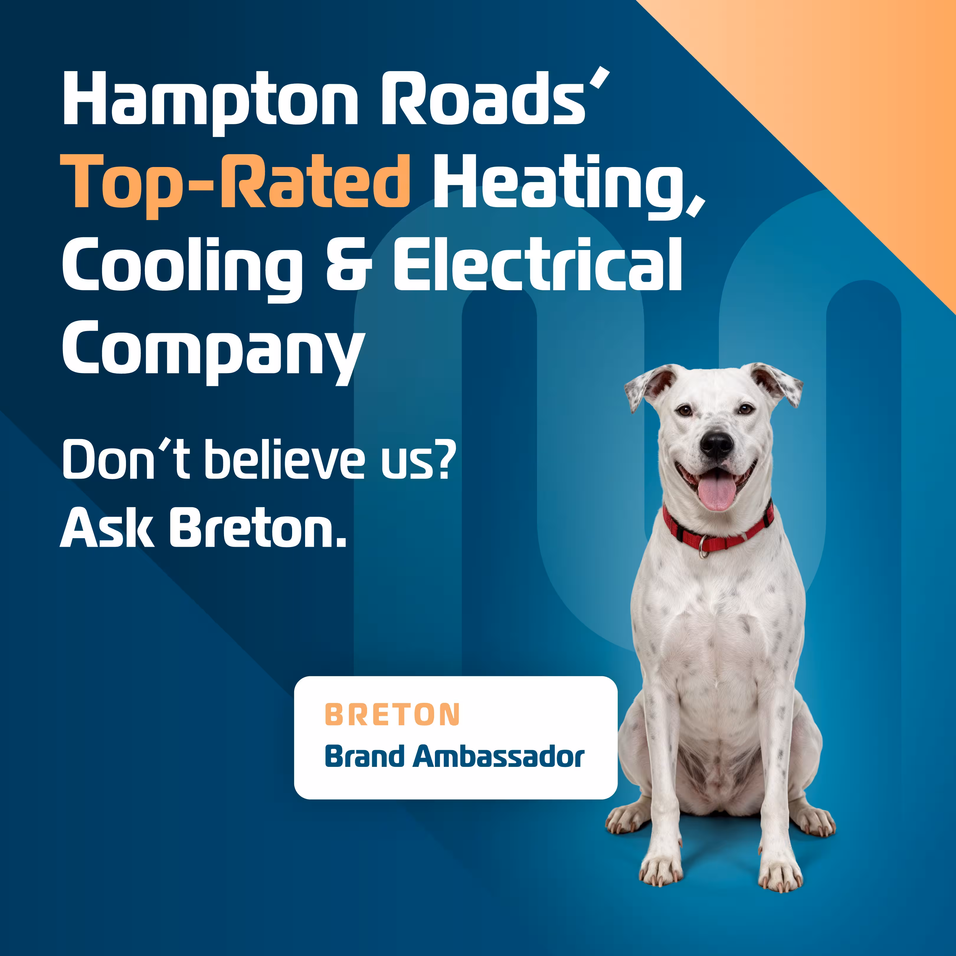 White dog named Breton, Mechollage brand ambassador, beside text calling Mechollage Hampton Roads' top-rated heating, cooling and electrical company.