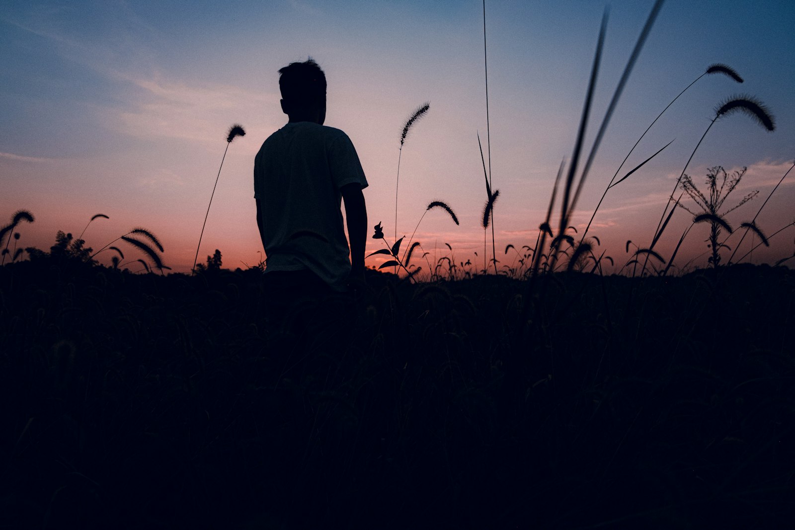 Face à l’horizon au lever du jour