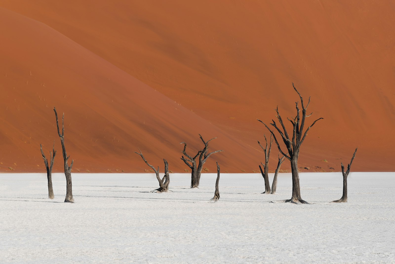 Deadvlei, au pied des dunes de Sossusvlei, Namibie