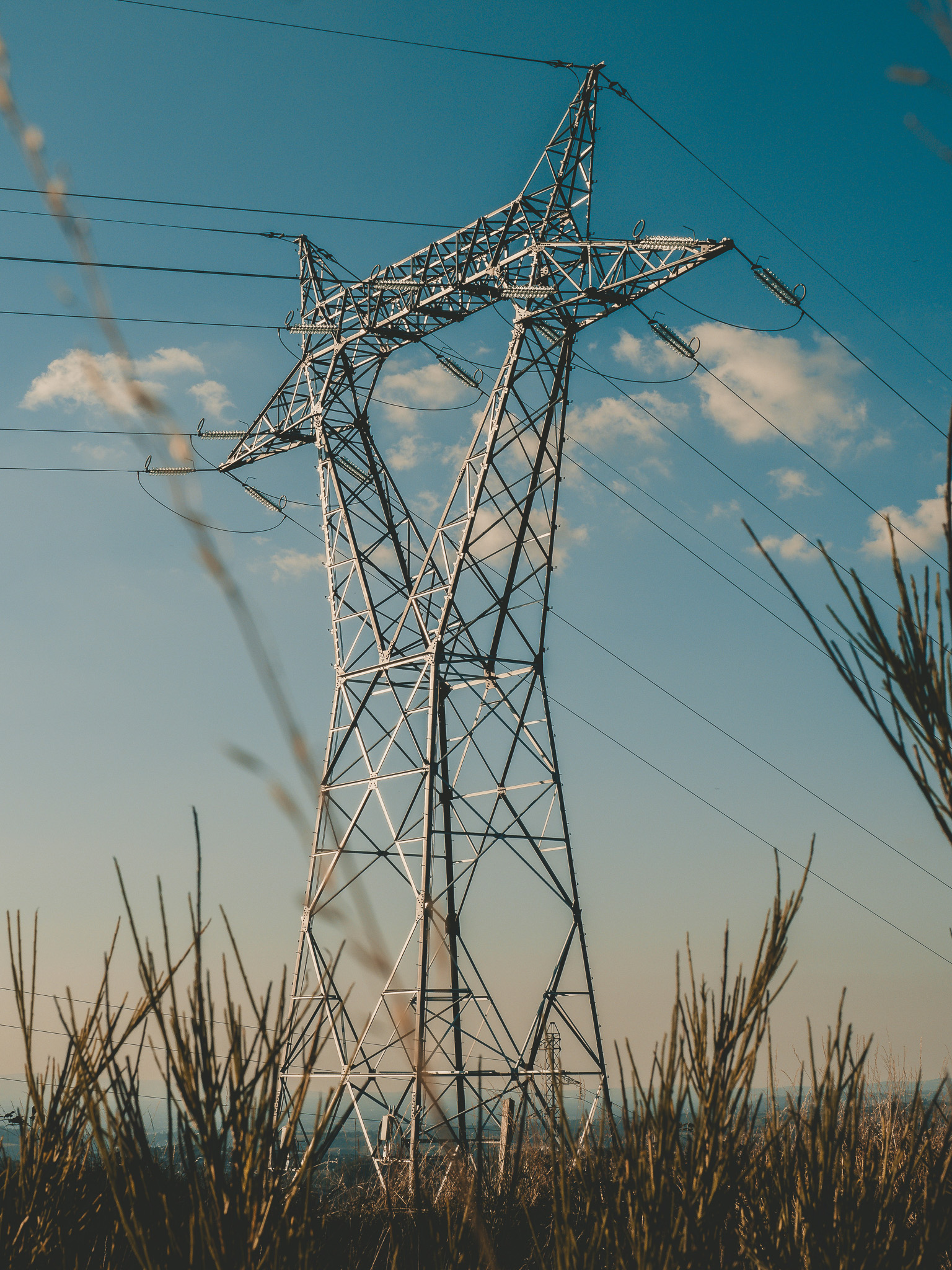 Tall grass sits in the foreground of the towering power lines against a beautiful sky.