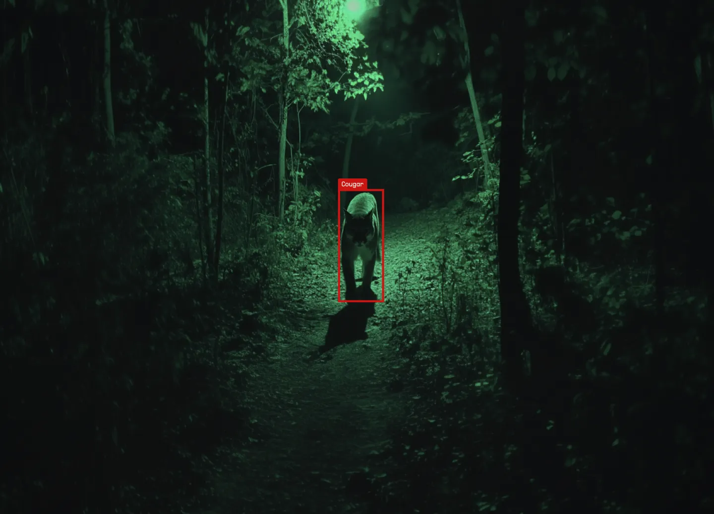 Introducing TrailGuard: Nature is Now Watching