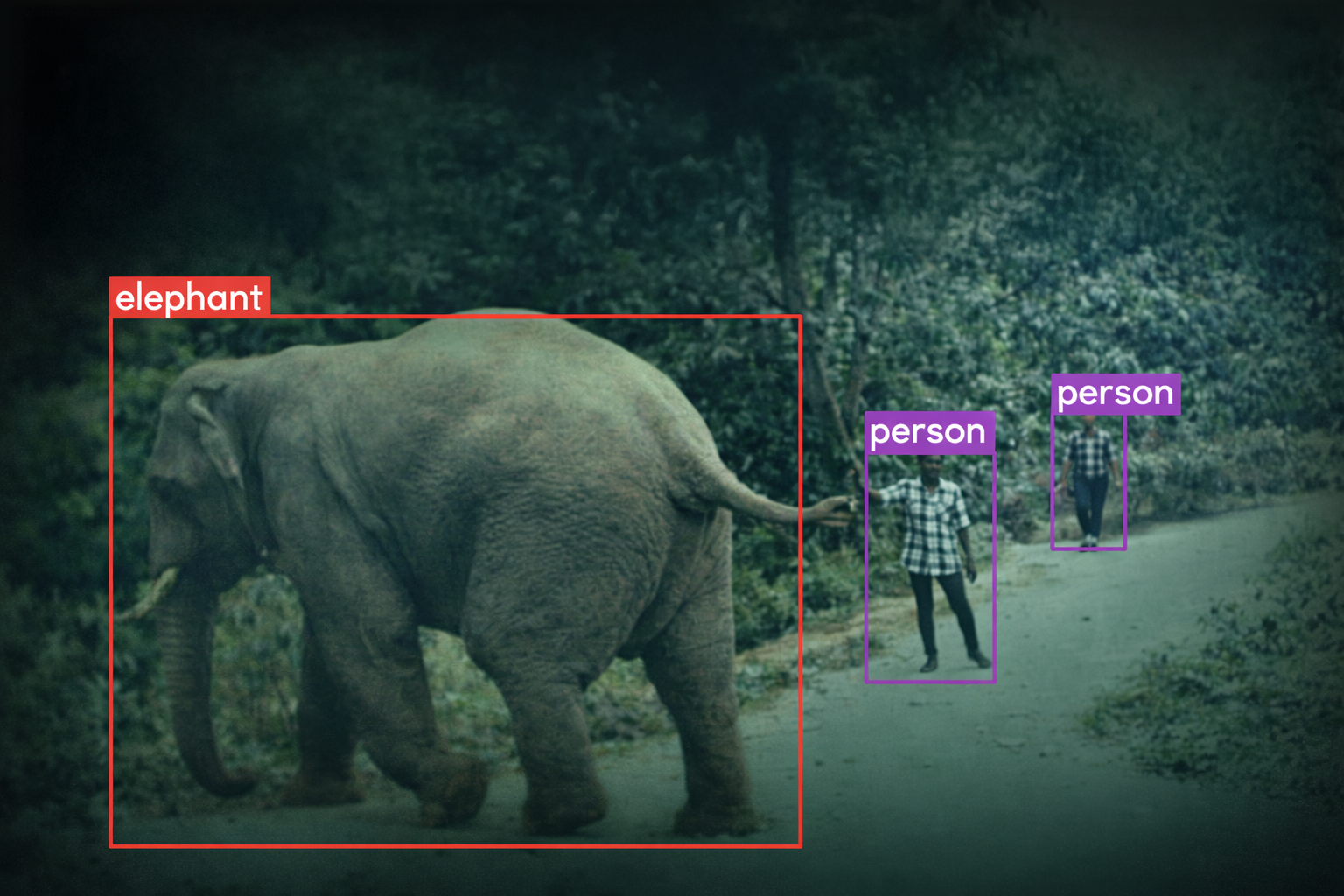 Real-time Intelligence for Coexistence