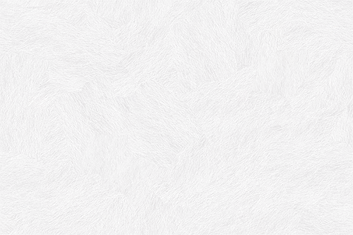 Padrão de plumas brancas pequenas e delicadas espalhadas uniformemente em fundo cinza claro.