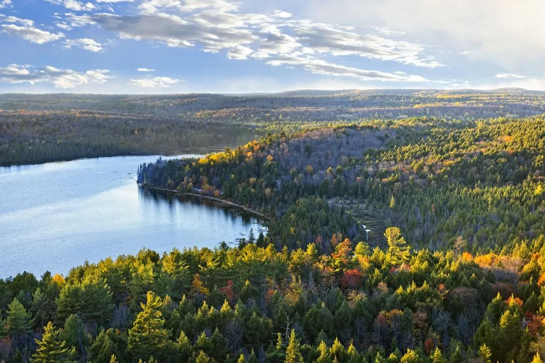 A beautiful view of a forest with a lake in the background.