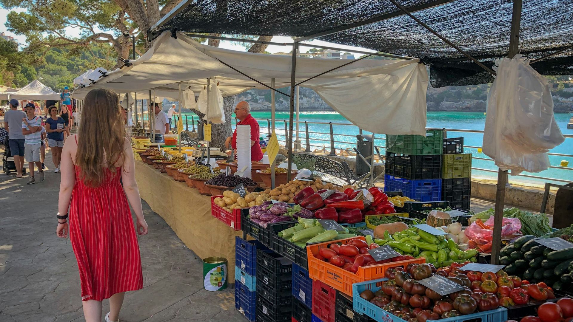 Local Experiences Mallorca Spain