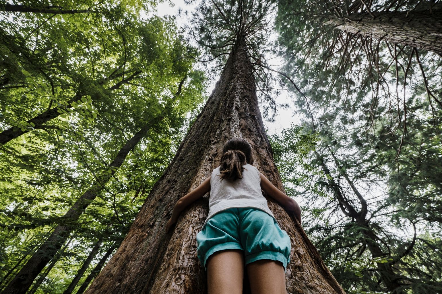 working towards sustainable tourism