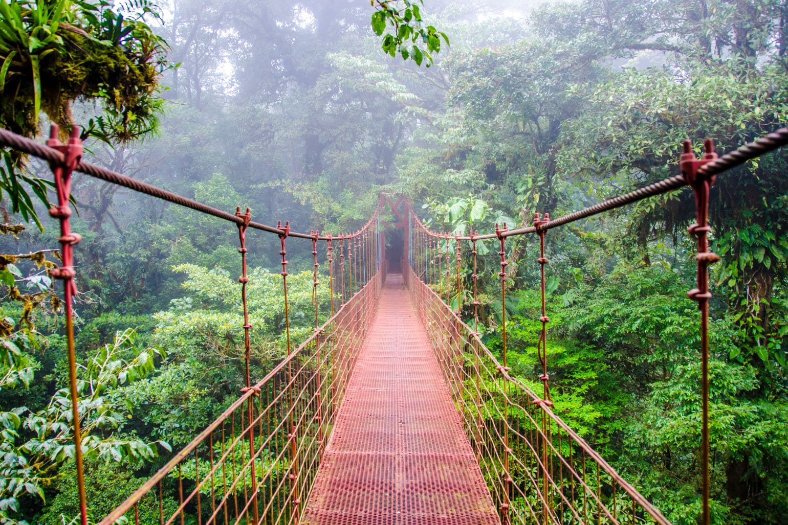 Rainforest Costa Rica
