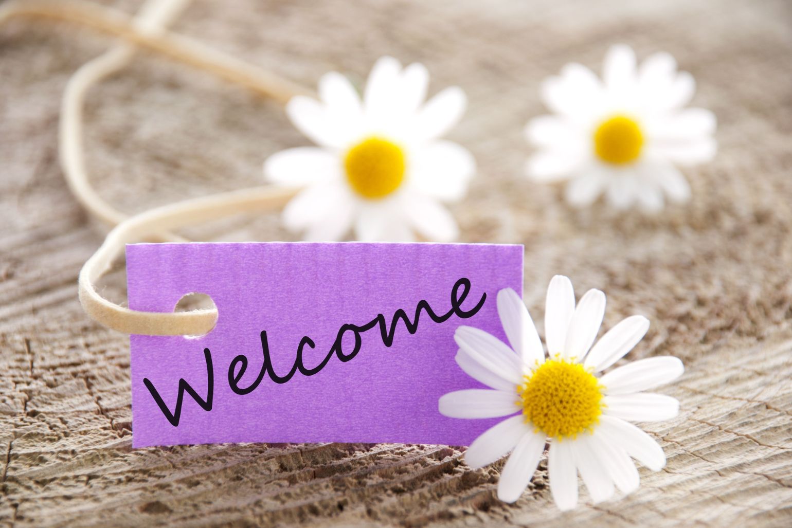personalisation is key in tourism and travel
