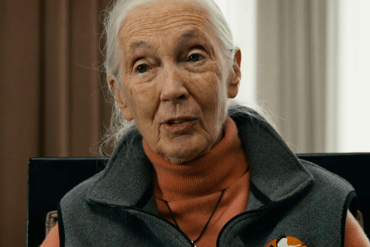 Dr. Jane Goodall in the new film “The Last Tourist.”