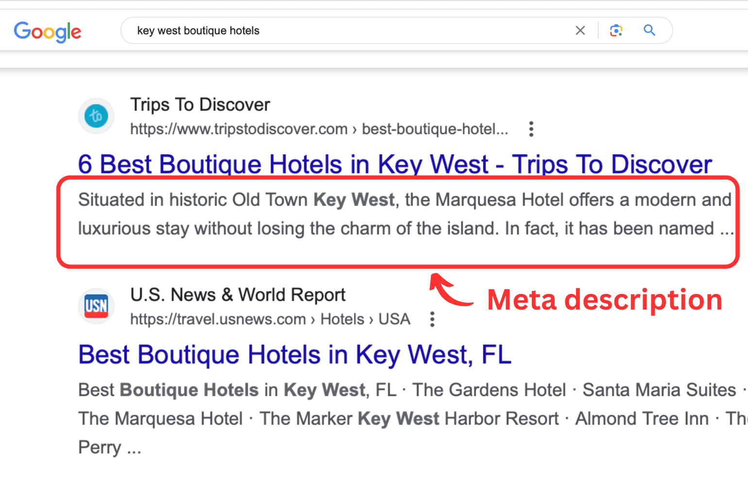 Google SERP results